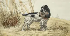 Léon Danchin, Spaniel with a Woodcock, color, lithograph on paper