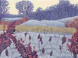 Gordon Mortensen, Winter Sumac, 1982, reduction color