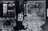 Martin Prekop, House 1993-