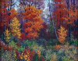 James Salem, (American/Florida, born 1948), October Woodland, oil on canvas,11 x 14 inches