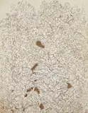 Mark Tobey, Psaltery Second Form, 1974, etching on paper