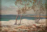 Martin Leisser, Trees and Beach, Monterey, April 20