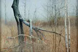 Charles Pitcher, (American/Western PA, 1927-2009),Laurel Wilderness
