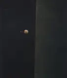 Yōzō Hamaguchi, One Cherry, 1962, mezzotint, 13.5 x 11.5 inches