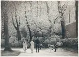 Harold Altman, Parc Monceau, 1983, lithograph printed in colors