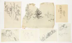 Collection of 20 drawings, mostly nature studies and some studies for prints by Louis Lozowick, pencil drawings on paper, 1940s-1960s, some, offered Aug 2024