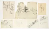 Louis Lozowick, Collection of 20 drawings, mostly nature studies and some studies for prints, pencil drawings on paper, 1940s-1960s, some