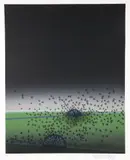 David Manzur, Requiem Para Un Paisaje Amazónico