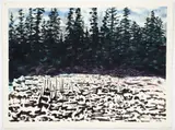 Jack Marlowe Wise, British Columbia Landscape