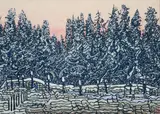 Jack Marlowe Wise, Frozen Landscape, 1993, color woodblock or