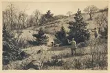 Aiden Lassell Ripley, Point on Quail, drypoint etching