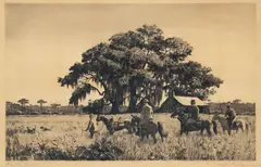 Aiden Lassell Ripley, Point on Quail, drypoint etching