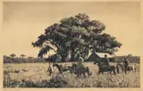 Aiden Lassell Ripley, Point on Quail, drypoint etching
