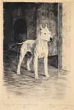 Marguerite Kirmse, Every Inch a Gentleman, etching on paper, 1920s, depicting a white bull terrier