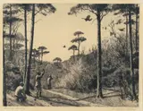 Aiden Lassell Ripley, Turkey Shooting, drypoint etching