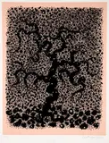 Robert Cato, (American, 1923-1999), Pink Corral - from the Nantucket Series, 1970, screenprint