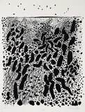 Robert Cato, (American, 1923-1999), White Grass - from the Nantucket Series, 1970, screenprint