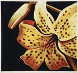 Lowell Blair Nesbitt, Tiger Lily, 1978, serigraph