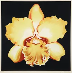 Yellow Iris by Lowell Nesbitt, 1978, serigraph, offered May 2024