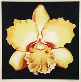 Lowell Blair Nesbitt, Yellow Iris, 1978, serigraph