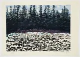 Jack Marlowe Wise, Canadian Landscape, 1995, color woodblock or