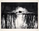 Paul Caponigro, Redding Woods, Connecticut