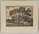 Birger Sandzén, Untitled, WOODCUT ON PAPER