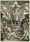 Albrecht Durer, Untitled