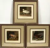 John Frederick Herring, Sr., HAND-TINTED ETCHINGS