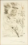 TINTED by Salvador Dalí, ETCHING ON PAPER, offered May 2020