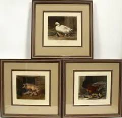 HAND-TINTED ETCHINGS by John Frederick Herring, Sr., ON PAPER, offered Mar 2020