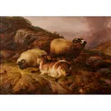 Thomas Sidney Cooper, Landscape with Sheep, Welsh Hillside, 1853, oil on board, [approximate dimensions -