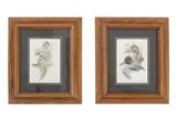 Untitled by Janene Grende, gouache duck & grouse, offered Jan 2025