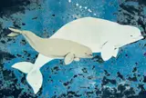 Aoudla Pudlat, Beluga Whale, lithograph in color, 1994