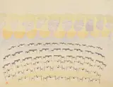Pudlo Pudlat, Nunali, lithograph in colors, 1990