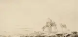 Changing Pastures by Edward Julius Detmold, etching, ca. 1926, offered Aug 2024