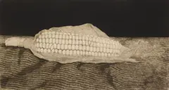 Ryohei Tanaka, Corn, etching, 1965
