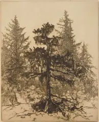 Ernest Haskell, Moss Hill, etching