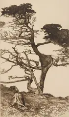 Ernest Haskell, The Head of the Ostrich, etching