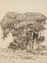 Ernest Haskell, Cemetery Live Oak, etching and engraving, 1916