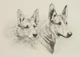 Marguerite Kirmse, Loyalty, etching
