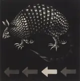 Mario Avati, Armadillo mezzotint, 1977, mezzotint
