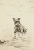 Marguerite Kirmse, Seeing Things, etching