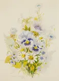 Robert Laessig, Violets, watercolor on paper