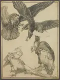 Frank Wilcox, Bird Studies