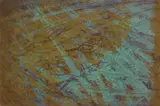 Stanley William Hayter, Sargasso Sea, etching in color, 1961