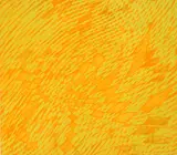 Stanley William Hayter, Expansion soft-ground, etching in color, 1970