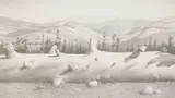 Roger Medearis, Fallen Pine