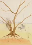 Asher by Salvador Dalí, etching and drypoint with stencil, 1972, offered Jun 2024
