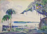 Frank N. Wilcox, Mississippi Inlet